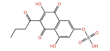 2-Butanoyl-3,6,8-trihydroxy-1,4-naphthoquinone 6-O-sulfate